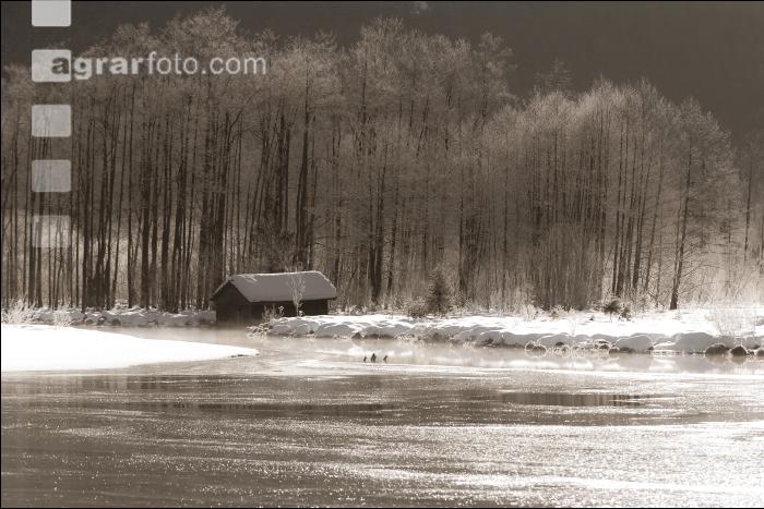 Almsee Eis und Schnee 21