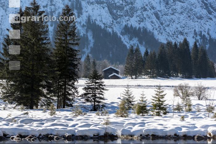 Almsee Eis und Schnee 20