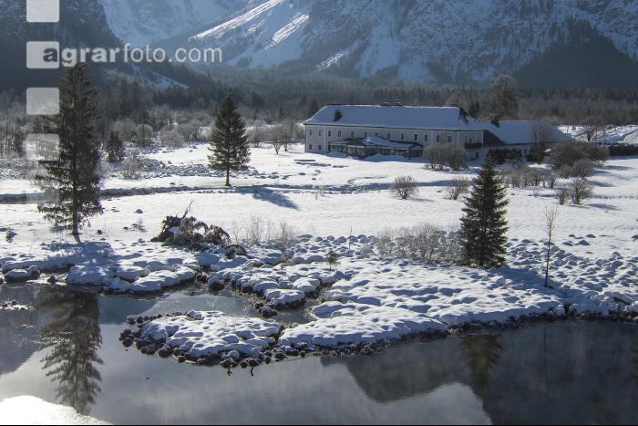 Almsee Eis und Schnee 8