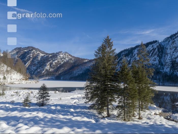 Almsee Eis und Schnee 7