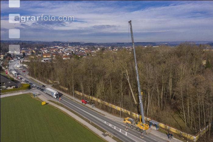 Spezialholzfällung 8