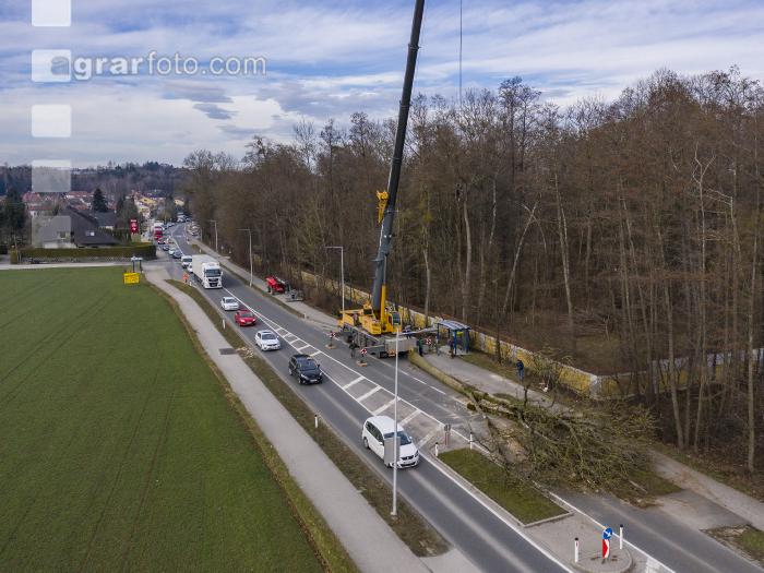 Spezialholzfällung 2