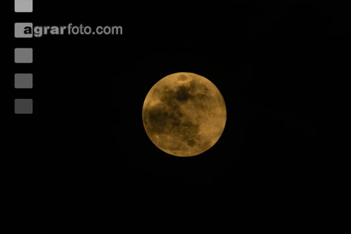 Vollmond Februar 2