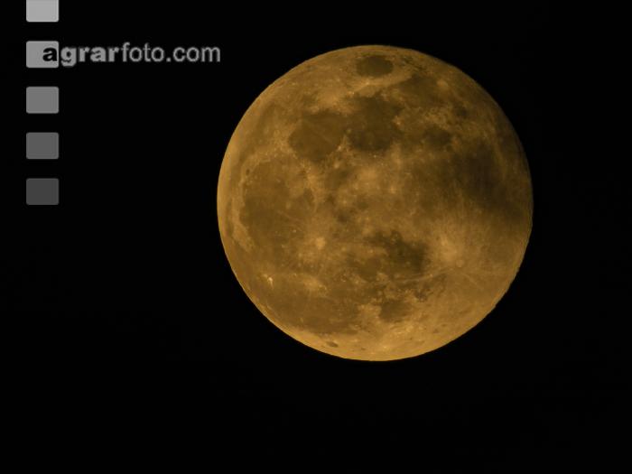 Vollmond Februar 1