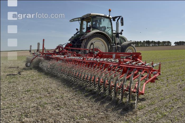 Rollstriegel Getreide 7