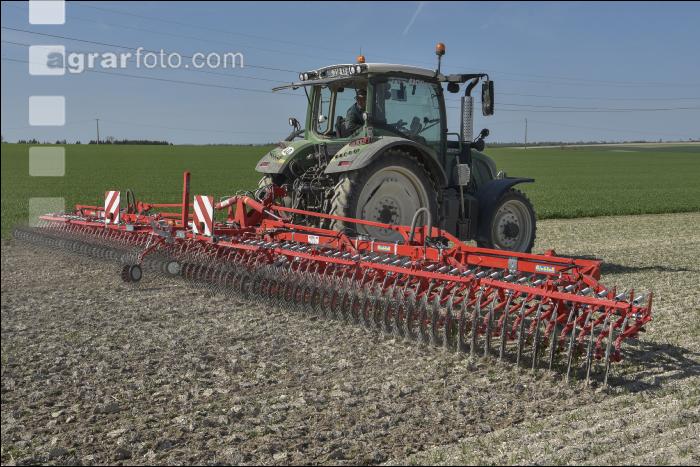 Rollstriegel Getreide 5