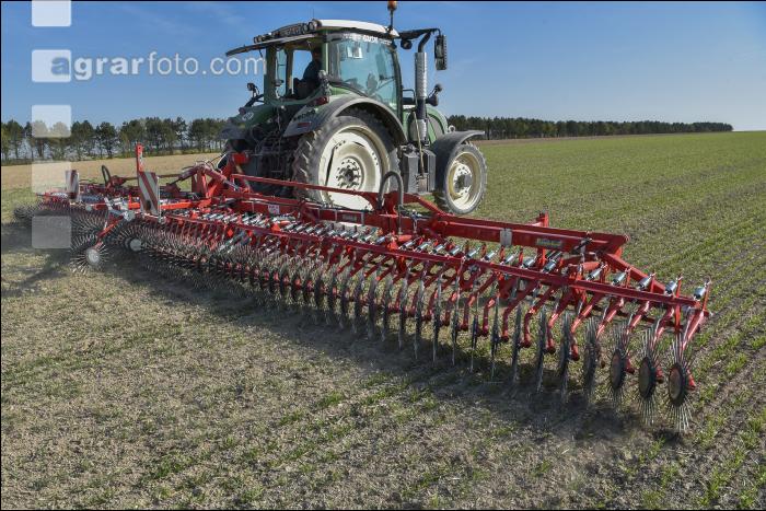 Rollstriegel Getreide 3