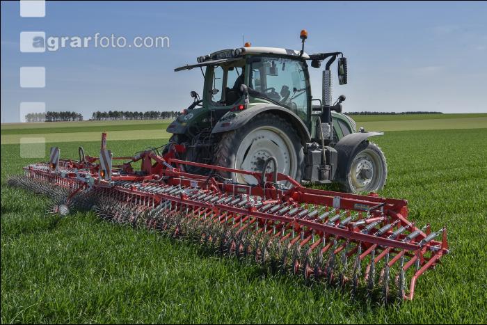 Rollstriegel Getreide 2