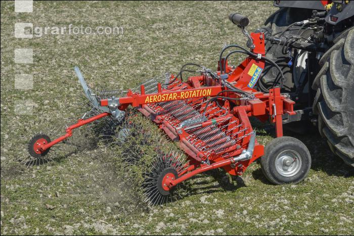 Rollstriegel Triticale