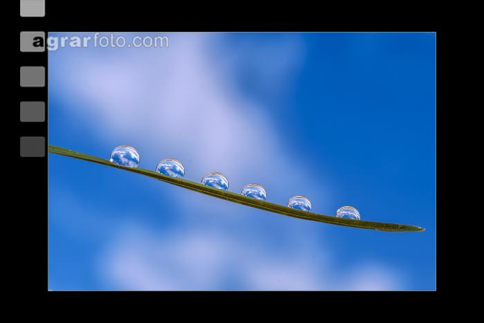 Wasserperlen 4