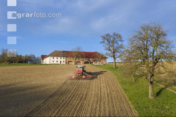 Erbsen Mulchsaat 14