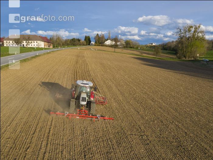 Erbsen Mulchsaat 13