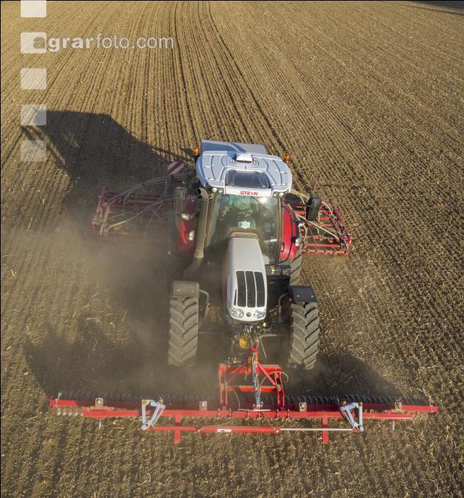 Erbsen Mulchsaat 12