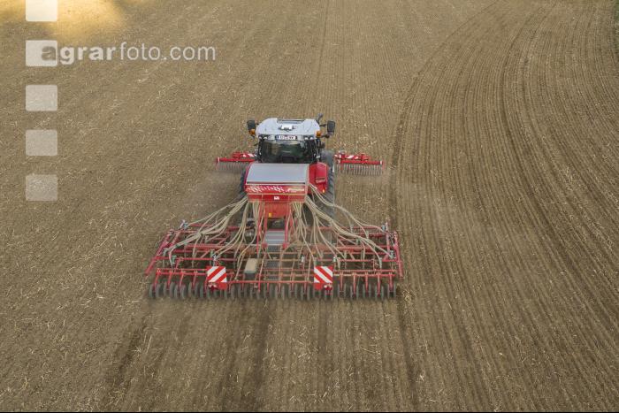 Erbsen Mulchsaat 9