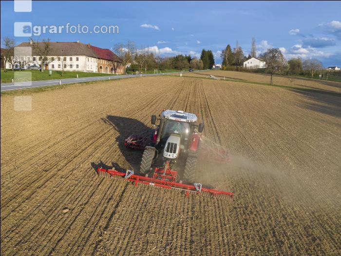Erbsen Mulchsaat 6