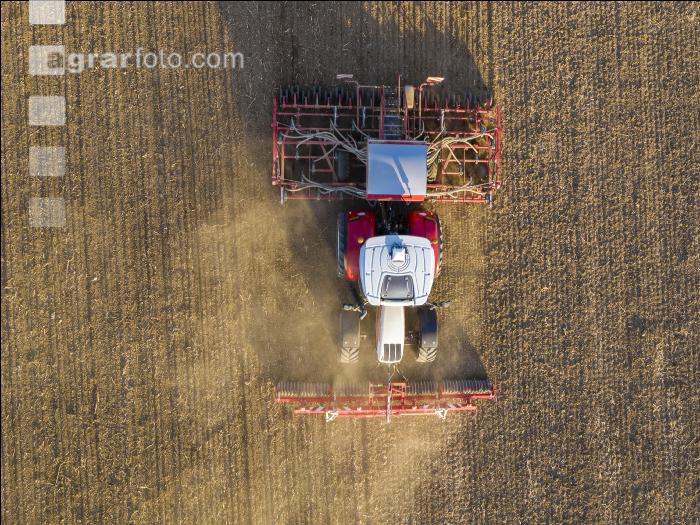 Erbsen Mulchsaat 4