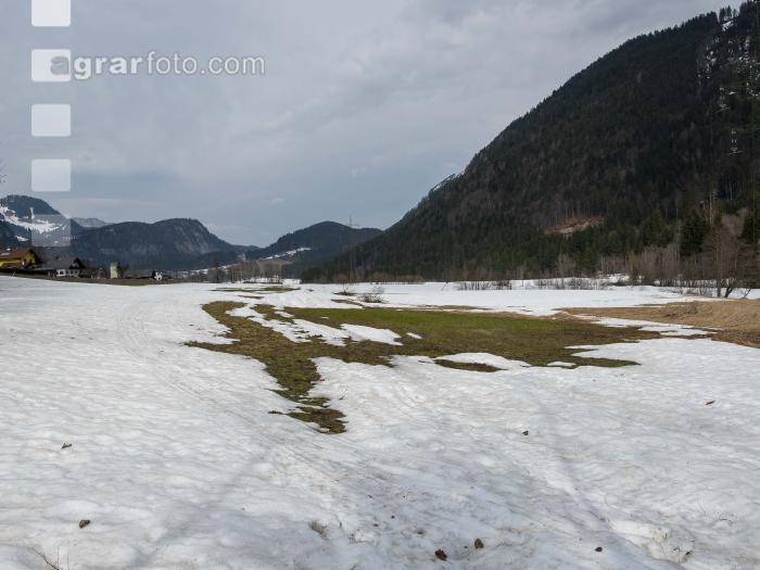 Wiese nach Winter 5