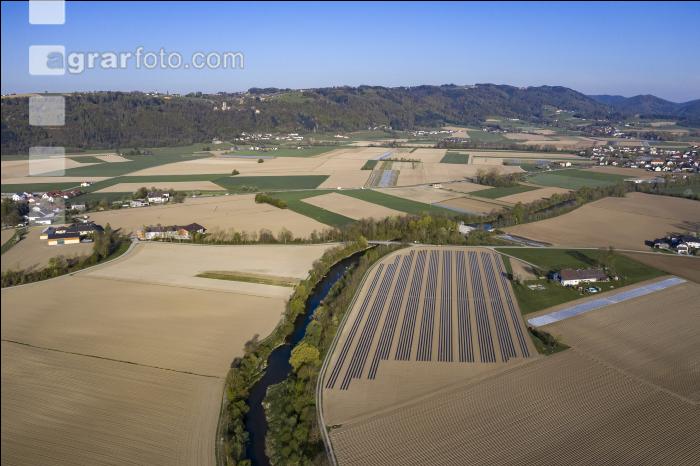 Folien für Gurkerl 7