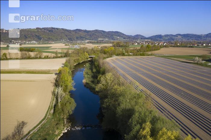 Folien für Gurkerl 1