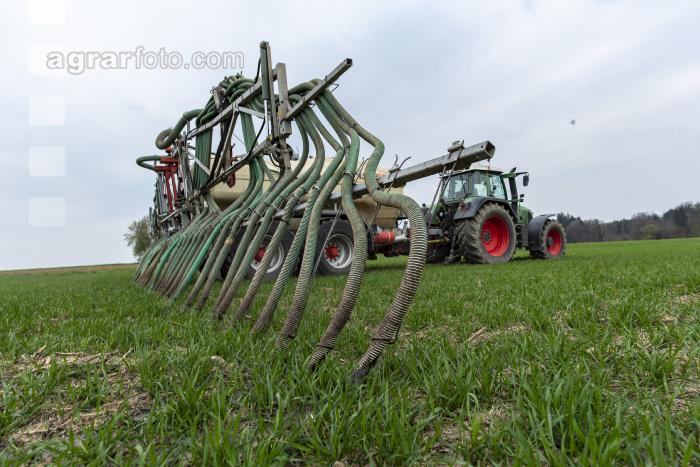 Gülle zu Weizenbestockung 34