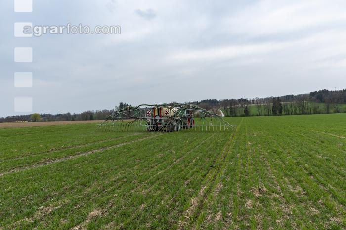 Gülle zu Weizenbestockung 28