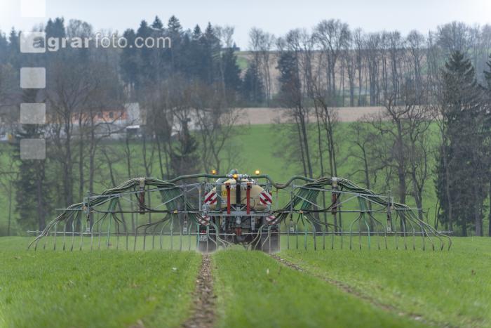 Gülle zu Weizenbestockung 27
