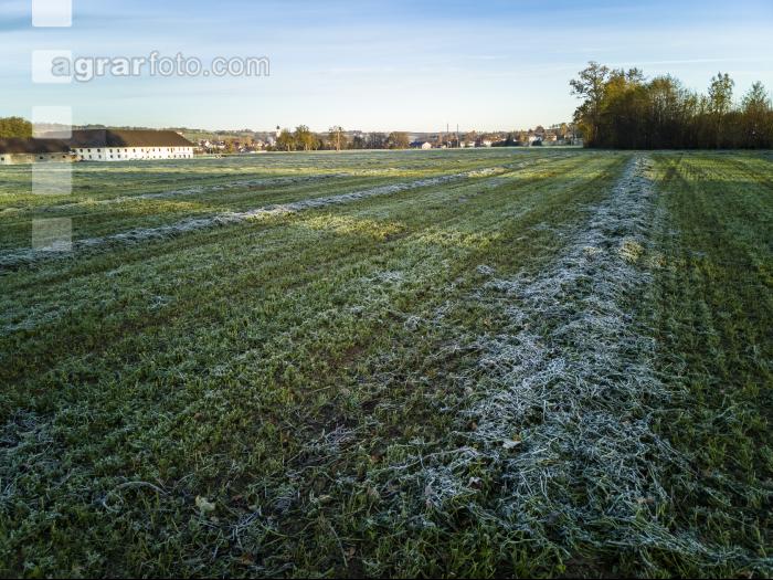 Silieren mit Frost 2