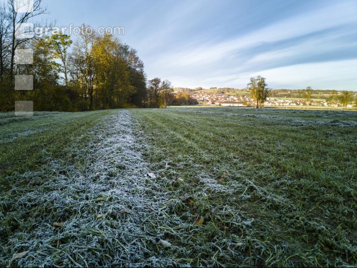 Silieren mit Frost 1