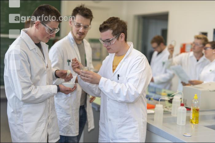 Mikrobiologielabor 12