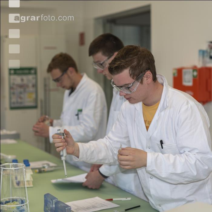 Mikrobiologielabor 7
