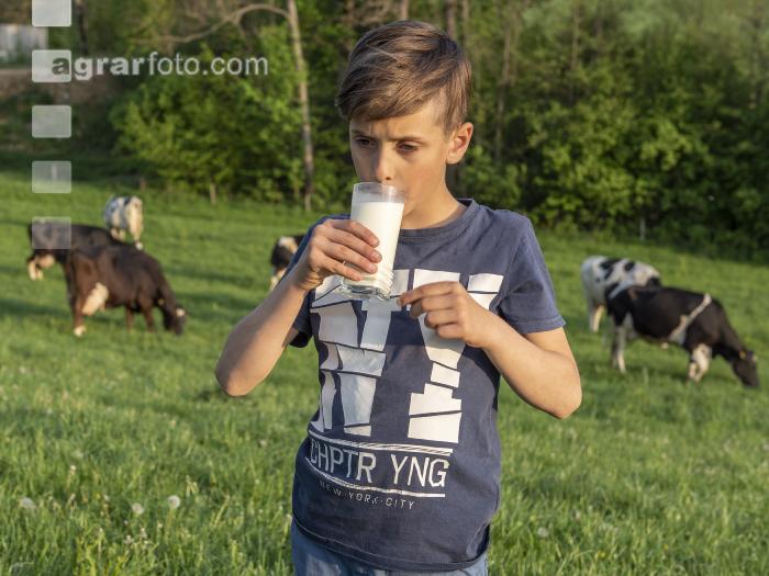 Trinkmilch 37