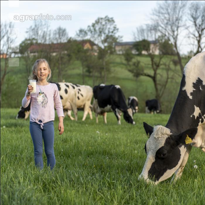Trinkmilch 33
