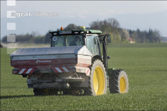 Weizen Spätdüngung 21