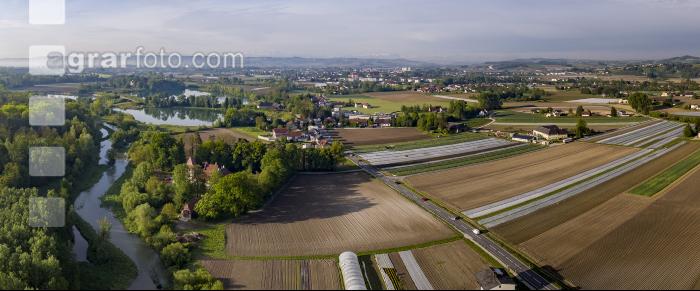 Morgenstimmung Eferding 6
