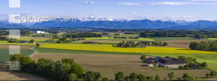 Alpenvorland Mitte Mai 4