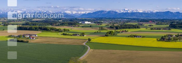 Alpenvorland Mitte Mai 3
