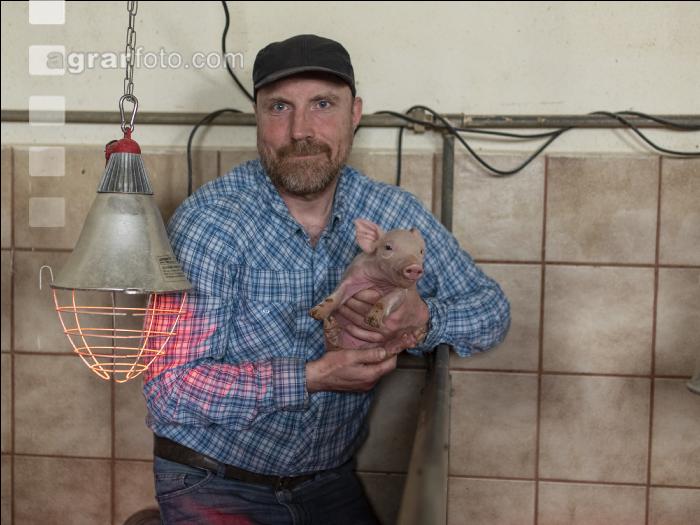 Ferkel Betreuung 66