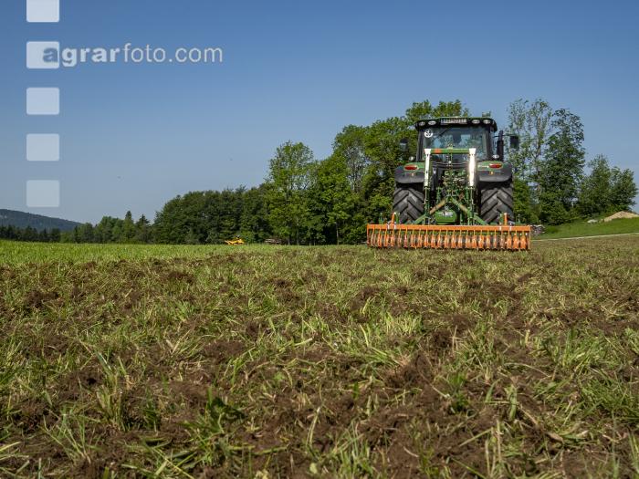 Engerlingswiese Kreiselgrubber 3