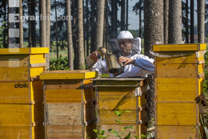 Bienenstöcke im Wald 27