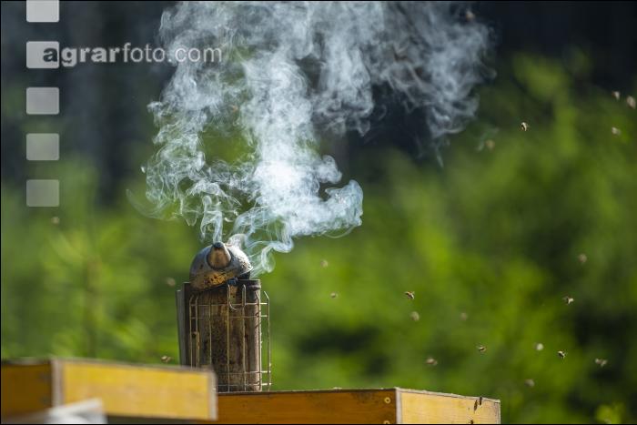 Bienenstöcke im Wald 16