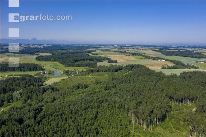 WaldFeldWiesen Landschaft 1
