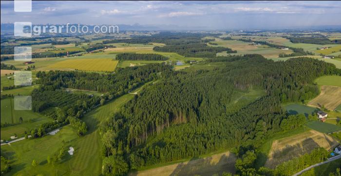 WaldFeldWiesen Landschaft 2