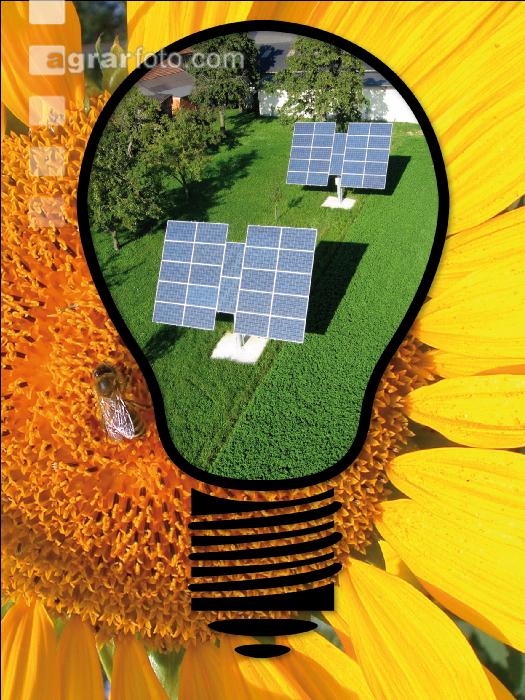 Strom aus Alternativenergie 11