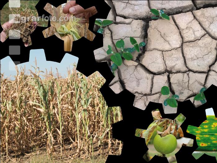 Klimawandel 13