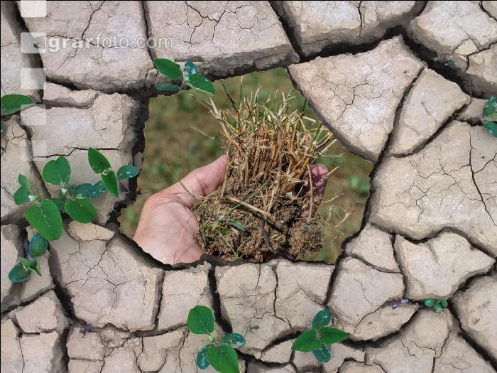 Klimawandel 9