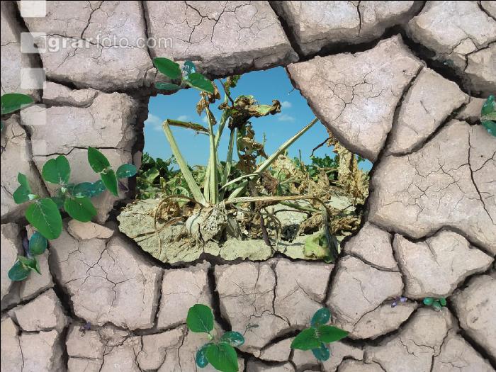 Klimawandel 4