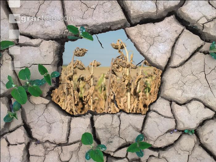 Klimawandel 3