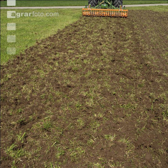 Kreiselgrubber Engerlinge 4