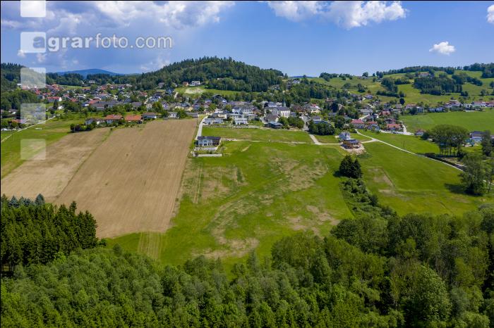 Sichtbare Engerlingsschäden 4