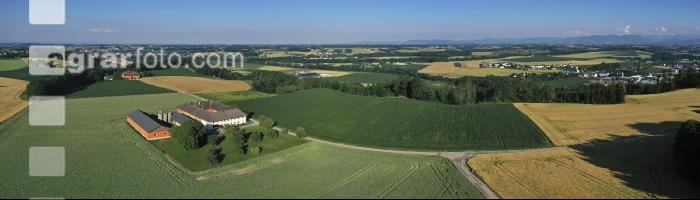 Alpenvorland Hochsommer 3
